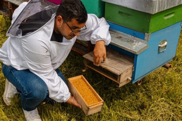 la bottega del miele 35