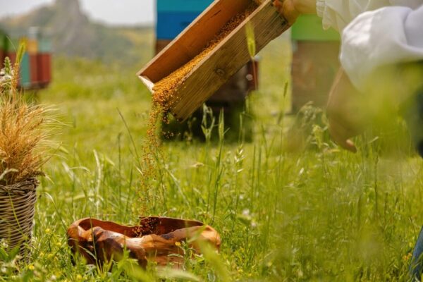 la bottega del miele 42