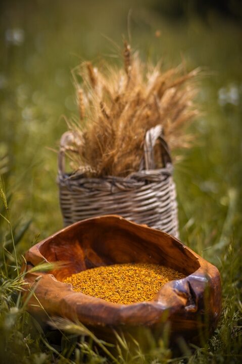 la bottega del miele 44