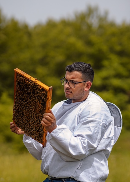 la bottega del miele 26 andrea