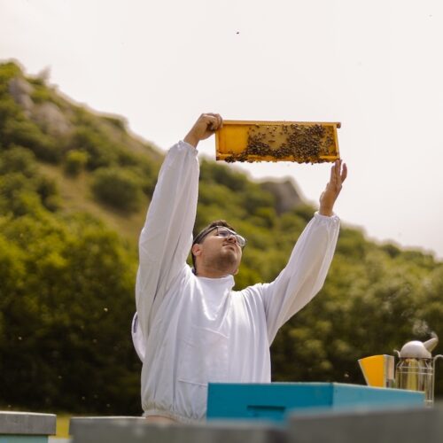 la bottega del miele 6 copia