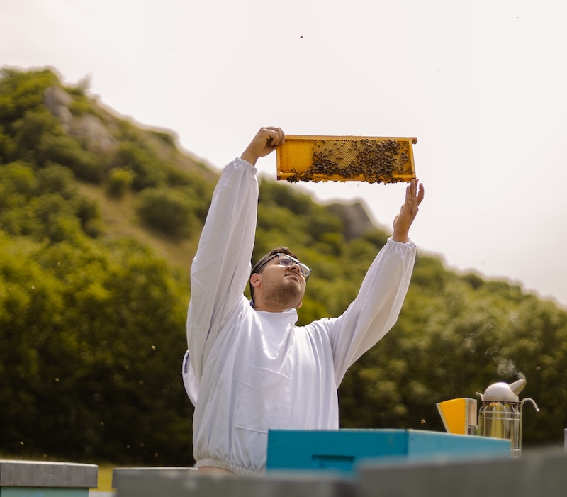 la bottega del miele 6 copia