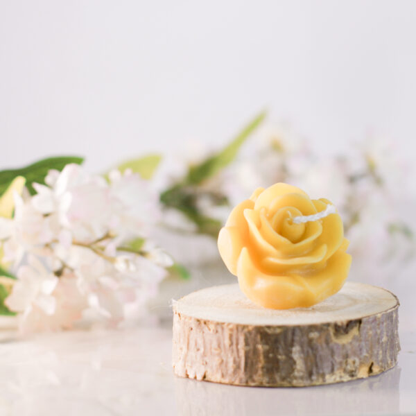 CANDELA la bottega del miele 21