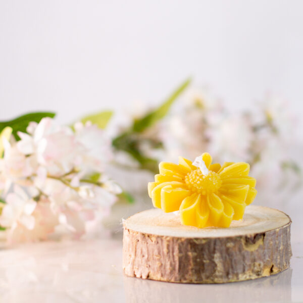 CANDELA la bottega del miele 24