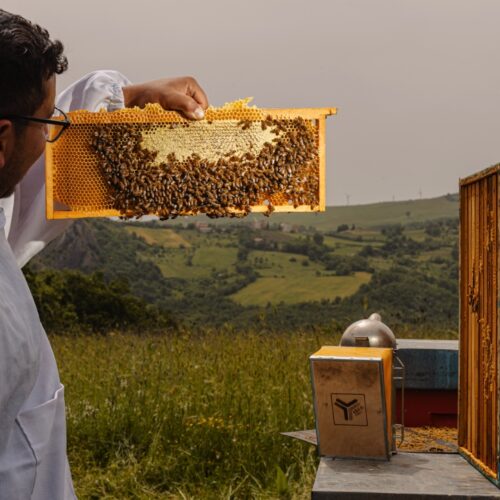 la bottega del miele 13