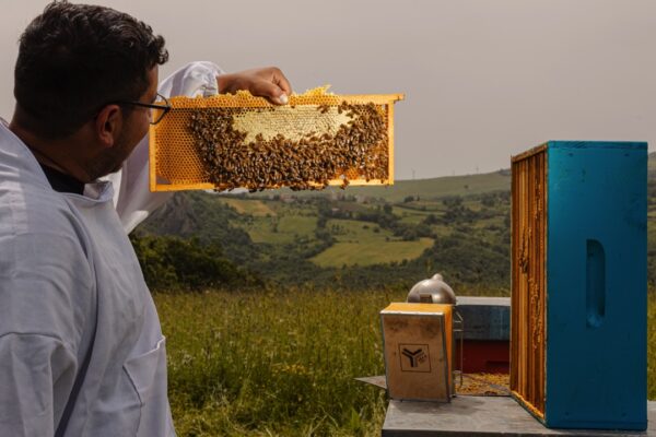 la bottega del miele 13