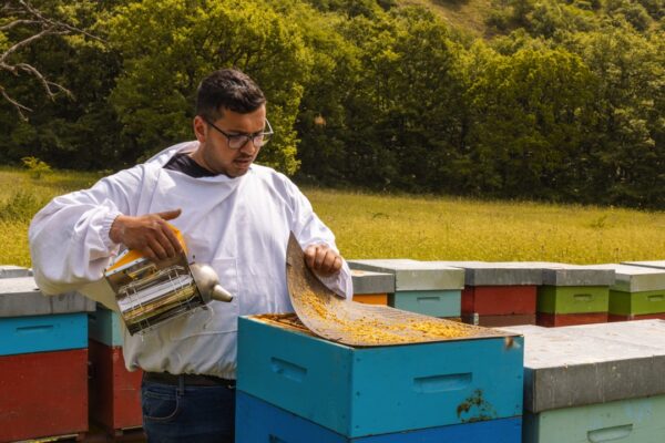 la bottega del miele 2